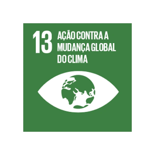  ícone do 13º ODS com a frase "ação contra a mudança global do clima" 