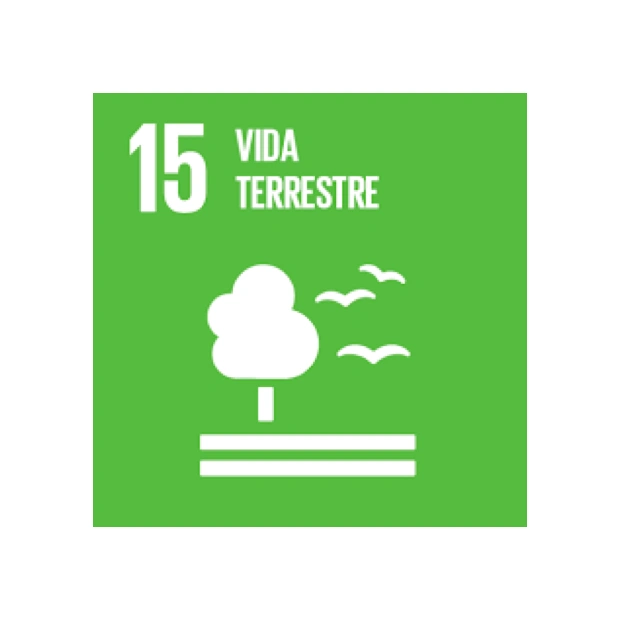 ilustração do 15º ODS vida terrestre 