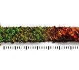  Imagem do site Sicredi 