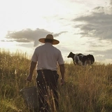  Imagem do site Sicredi 